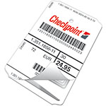 Checkpoint - RFID Tag