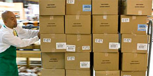 Krispy Kreme - Zetes Ares