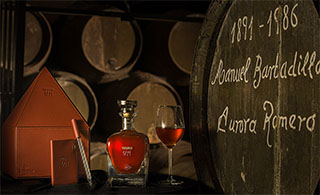 Thinfilm - Barbadillo