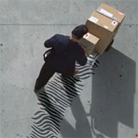 Zebra - IoT