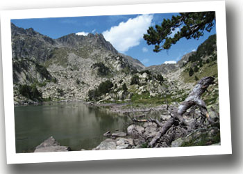 Rumbo - Pirineo - Aire