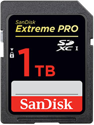 San Disk - WD