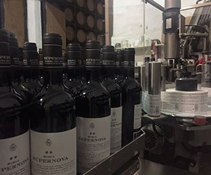 Check Point - Bodegas Briego