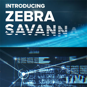 Zebra - Savanna (EAI)
