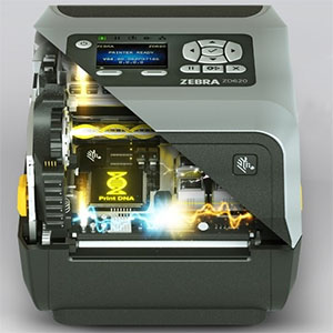 Zebra - ZD620 - Inteligencia