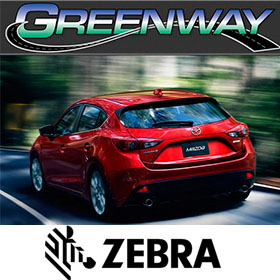 Zebra - Greenway