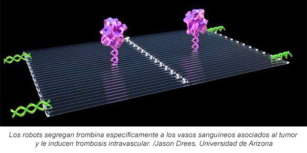 Nano Robots de ADN