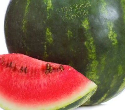 Macsa - Codificacion en frutas y verduras