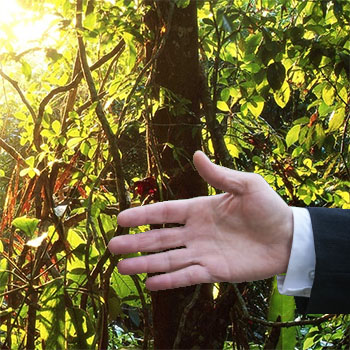 Brother - compromiso con el medio ambiente