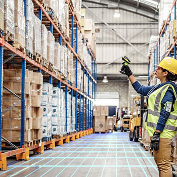 Zebra - Warehouse Vision Study