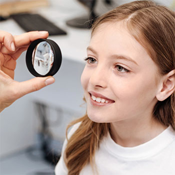 Zebra - NC Sight Services